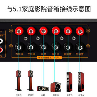 奇声（QISHENG）AV-115 家庭影院套装5.1大功率功放机AV校园广播会议音响无线话筒组合 AV-108旗舰版5.1功放