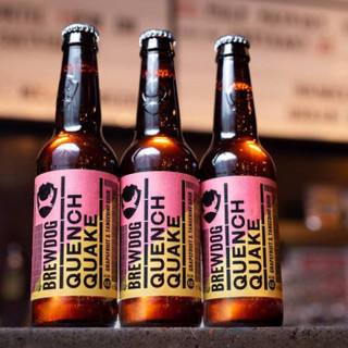 酿酒狗啤酒 英国进口精酿狗啤酒 Brewdog 酿酒狗西柚和橘子6瓶