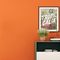 爱马仕橙墙纸亮黄橘色橙色客厅卧室现代简约纯色素色壁纸北欧风格