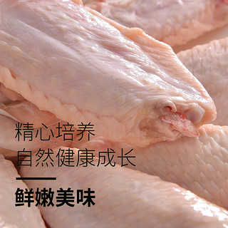 圣华 鸡翅中2斤冷冻生鲜鸡翅生母鸡肉新鲜烤翅烧烤奥尔良炸鸡翅膀