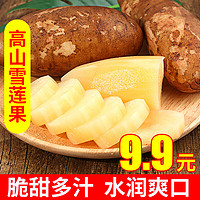 云南天山雪莲果3斤/5斤/9斤 单果150g以上 红泥黄心菊薯应季新鲜现挖水果