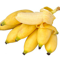 贵州小米蕉2.5斤（偶数件发货） 新鲜糯米蕉芭蕉现摘香蕉当季应季热带水果