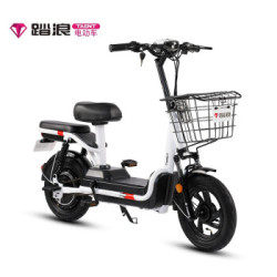 TAENT 踏浪 TDT125Z 新国标电动自行车