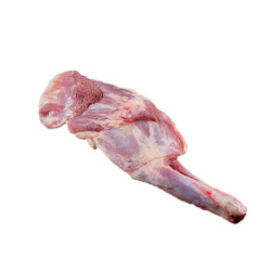 西鲜记 盐池滩羊羔羊前腿1kg + 羔羊去骨腿肉500g