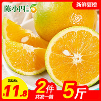 新鲜夏橙 2.5斤 单果55-65mm 橙子 新鲜水果 生鲜水果 国产水果 陈小四水果 其他