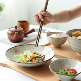 KAWASIMAYA 川岛屋 花季日式家用陶瓷二人食盘子汤碗碟套装餐具套装PZ-143 雪樱款二人食套装