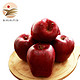 伍食家 甘肃天水花牛苹果 中大果 净重约9斤（18-20个）