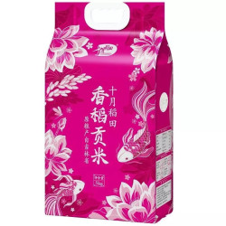 SHI YUE DAO TIAN 十月稻田 香稻贡米   5kg