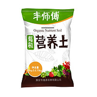 丰师傅 多肉专用营养土 500g