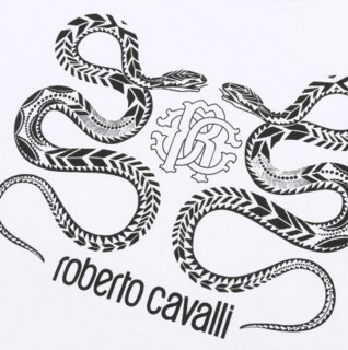 Roberto Cavalli新潮双蛇印花男式短袖T恤 2XL 白色