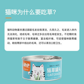 憨憨乐园 猫草盆栽罐头猫草