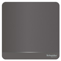 Schneider Electric 施耐德电气 绎尚系列 荧光灰