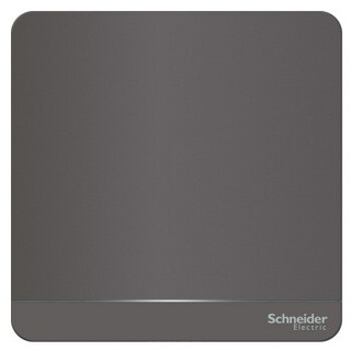 Schneider Electric 施耐德电气 绎尚系列 荧光灰