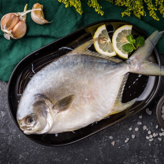 味尔佳 国产冷冻金鲳鱼500g（ 单条装）鲜冻深海   鱼类  生鲜 烧烤食材 海鲜水产