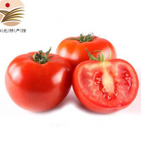 番茄西红柿大红洋柿子新鲜蔬菜瓜果茄果类 2500g