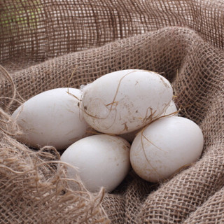 依禾农庄 鹅蛋正宗新鲜现捡土鹅蛋 大鹅蛋 12枚 约100-120g/枚 生鲜