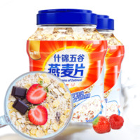 嘉谷 Jiagu 五谷粗粮膳食纤维 混合谷物燕麦片玉米荞麦 懒人早餐免煮食品1000g罐装 什锦五谷1kg*2罐装