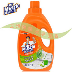 威猛先生 地面清洁剂除菌去垢 瓷砖木地板清洁剂光亮 草本2kg
