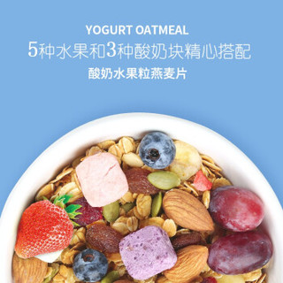 南农  酸奶坚果水果燕麦片早餐食品 即食代餐 冲饮谷物杂粮干吃零食 酸奶水果粒燕麦片 420g