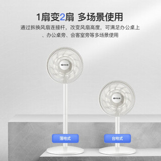 先锋（SINGFUN）空气循环扇电风扇家用遥控定时节能静音18片双环扇叶风扇DXH-S6Pro 白色（普通款）