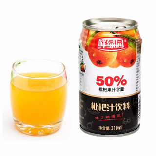 鲜绿园饮料果汁果蔬汁50% 枇杷汁50%310ml铁罐*12