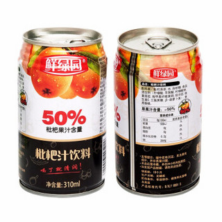 鲜绿园饮料果汁果蔬汁50% 枇杷汁50%310ml铁罐*12