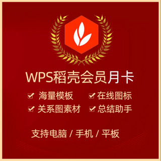 正版WPS超级会员 / WPS会员 / WPS稻壳会员 兑换码 月卡/年卡 PDF转Word WPS会员1年