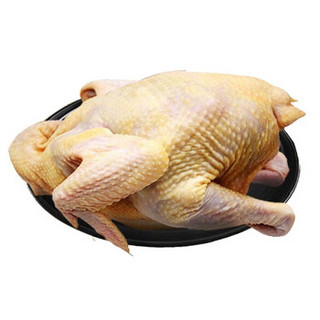 信趣优 老母鸡 土鸡 1.25kg老母鸡（带内脏）