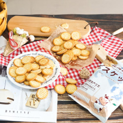 北海道3.6牛乳饼干天日盐小圆饼牛初乳咸饼干网红零食牛奶日式
