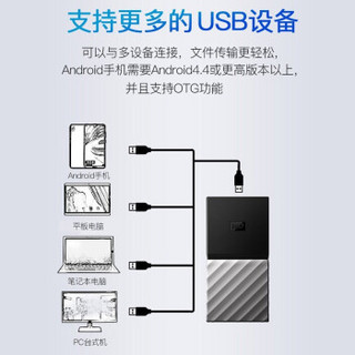 西部数据（WD）固态移动硬盘512G/1T/2T Type-c My Passport SSD 加密 标配  256GB （WDBKVX2560PSL）