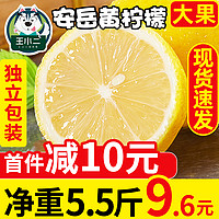 四川安岳黄柠檬5.5斤新鲜水果包邮精选皮薄一级香水鲜柠檬青特产
