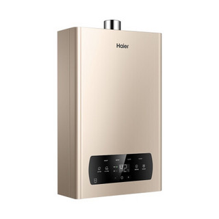 Haier 海尔 DN1系列 燃气热水器