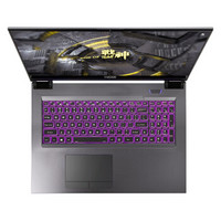 Hasee 神舟 战神G10-CU7PF 17.3英寸 游戏本 黑色(酷睿i7-10750H、RTX 2070 Super 8G、16GB、512GB SSD+1TB HDD、1080P、IPS、144Hz)