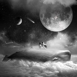 Tomasz Zaczeniuk 作品《梦之海 》Moonwhale