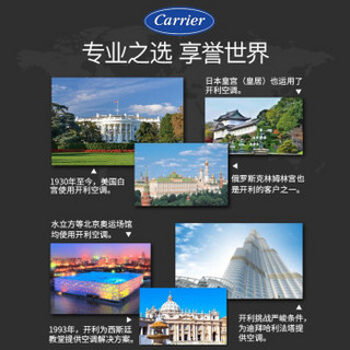 开利（Carrier）大1匹空调冷暖 一级变频智能 家用卧室 壁挂式空调挂机 一级变频 53QHP09010