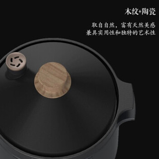 Midea 美的 电炖锅 电炖盅 煲汤锅 4L大容量 一锅双胆 智能预约定时 MD-TGS40X