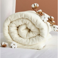 DAPU 大朴 新疆棉花被芯 冬被加厚 5kg 150*210cm
