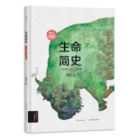 《生命简史:从宇宙起源到人类文明》