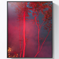 【Pica Photo】Benoit Paillé贝努瓦·帕耶 作品《林火 2号》Bush Fire #2