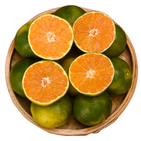 鲜菓篮 云南蜜桔新鲜橘子 5斤装