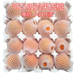爱媛38号果冻橙 5斤小果