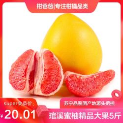 Super券后0.01元/福建琯溪蜜柚红心柚2个大果 约4.8-5.2斤