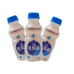 瑧品天竺山泉胃动力乳酸菌饮品原味340mlx12瓶