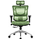 Sitzone DS-001A1 人体工学电脑椅 绿色（标准版）