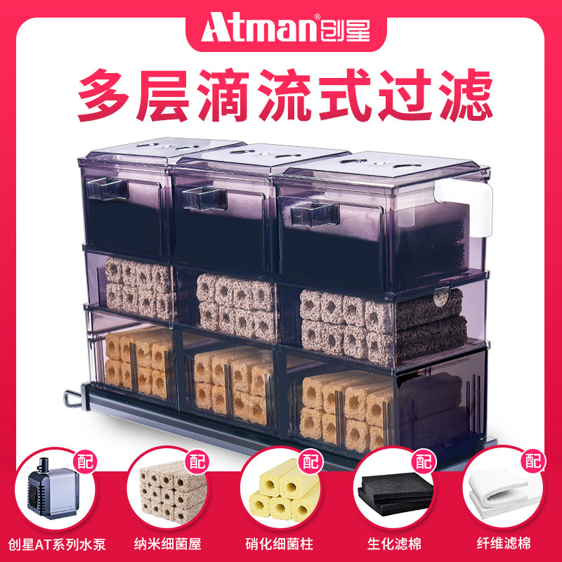 怎么才能让鱼缸的水不脏?注意这3点