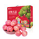  新鲜现摘洛川红富士苹果12枚脆甜冰糖心水果孕妇宝宝水果礼盒　