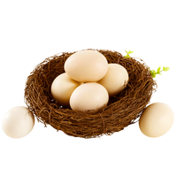 潭牛 文昌鸡蛋 初产蛋 30枚