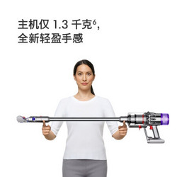 戴森(Dyson)V10 Slim限量版 轻量无线吸尘器 手持家用 大吸力 除螨 宠物