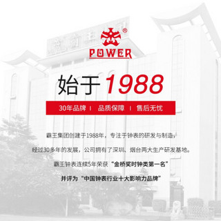 霸王（POWER）钟表客厅挂钟现代简约夜光圆形挂表卧室静音石英时钟 16寸BW23012ALT金色