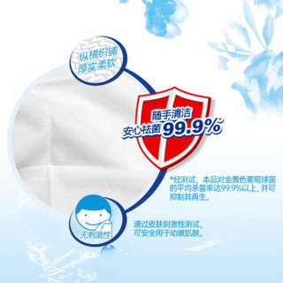 洁云（Hygienix) 湿巾纸巾 卫生祛菌湿纸巾10片独立装*10包（量贩装）细菌杀灭率达99.9%